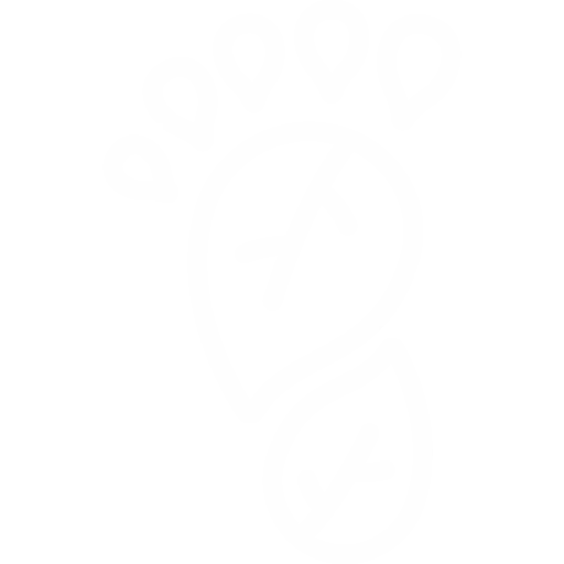 CO2-Fußabdruck